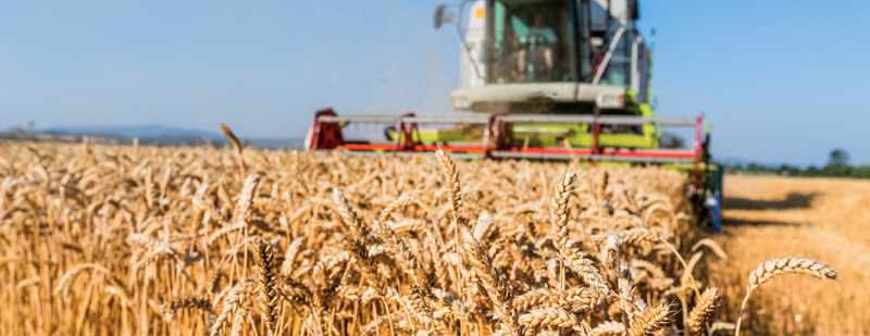 「數十年來首次，中國向阿根廷買」